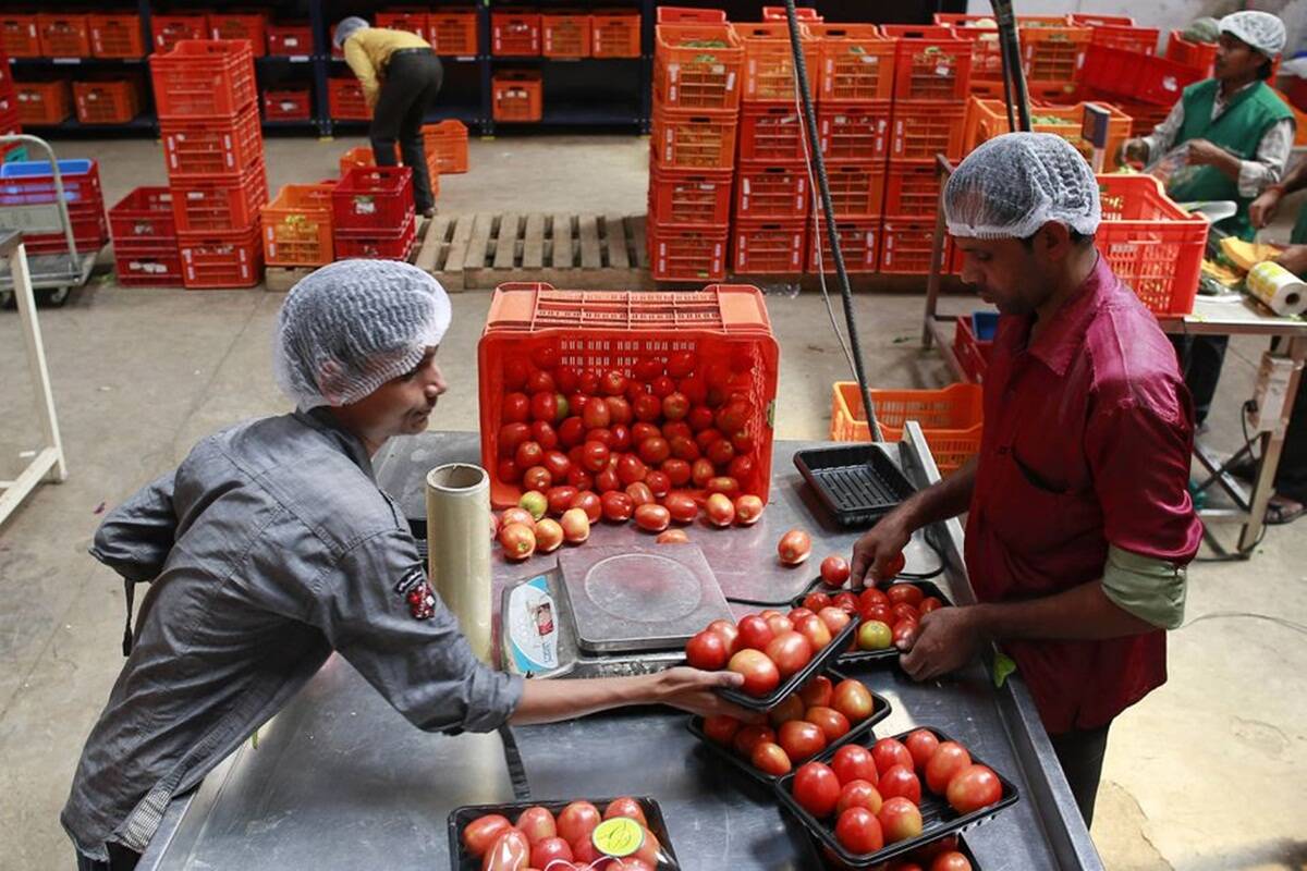 Tata buys majority stake in BigBasket; to battle Amazon, Flipkart, Reliance in online grocery market