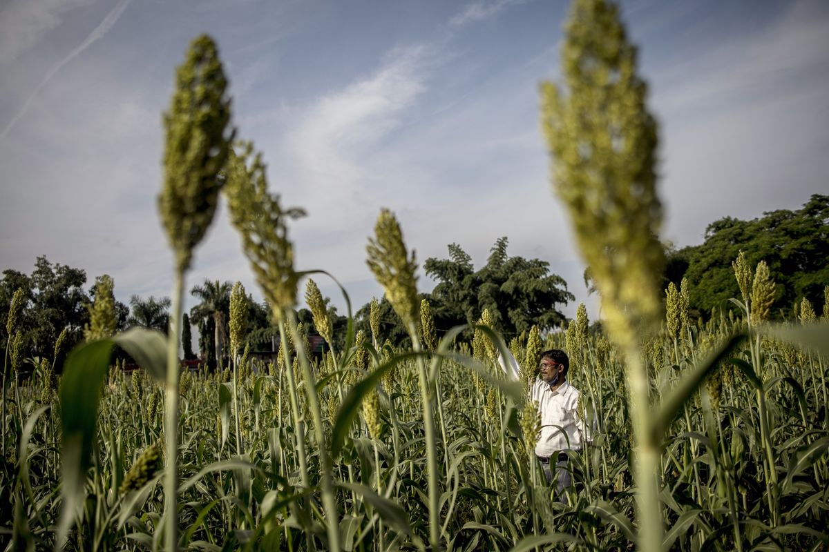 Amazon, Microsoft Swoop In on $24 Billion India Farm-Data Trove –  $1 trillion in annual retail spending by Indians.