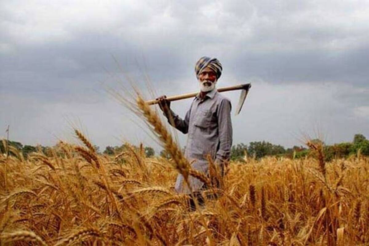 India can generate $ 813 bn in revenues from agri, food sector by 2030: Report