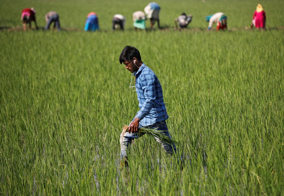 India hopes to replace diesel with green energy in its farms by 2024