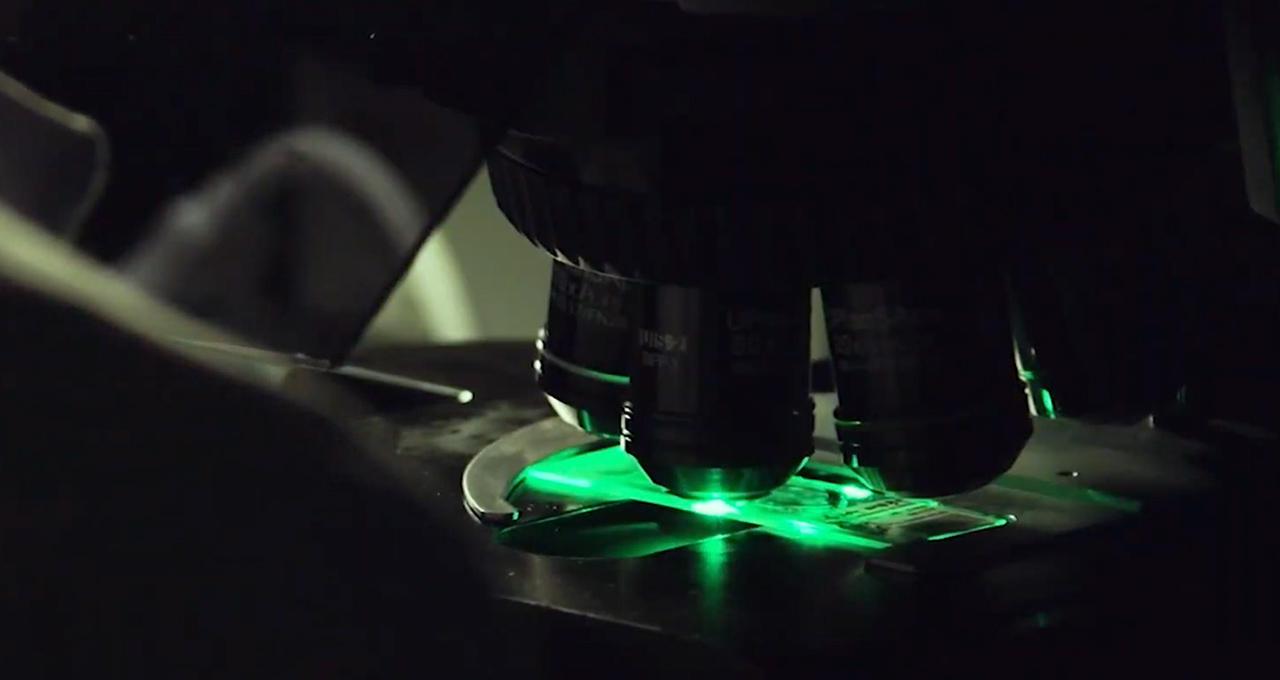 IQVIA and NVIDIA Harmonize to Accelerate Clinical Research and Commercialization With AI Agents : US Pioneer Global VC DIFCHQ SFO NYC Singapore – Riyadh Swiss Our Mind